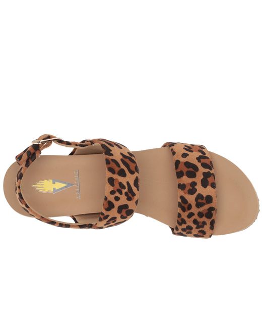 volatile leopard shoes