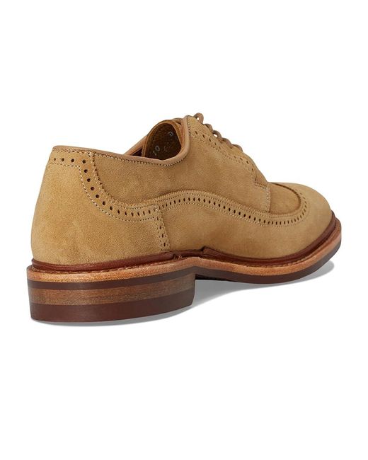 Allen Edmonds Multicolor Winstonmok Derby Shoes Shoes 11 D (M) Leather/Suede for men