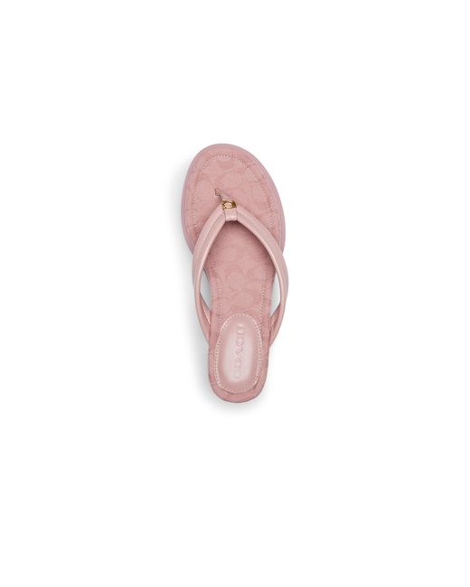 COACH Pink Franki Flip-flops In Signature Jacquard