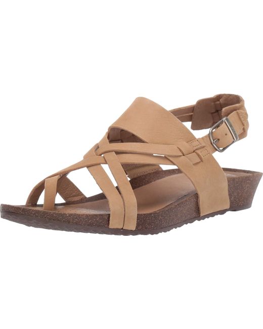 teva ysidro extension