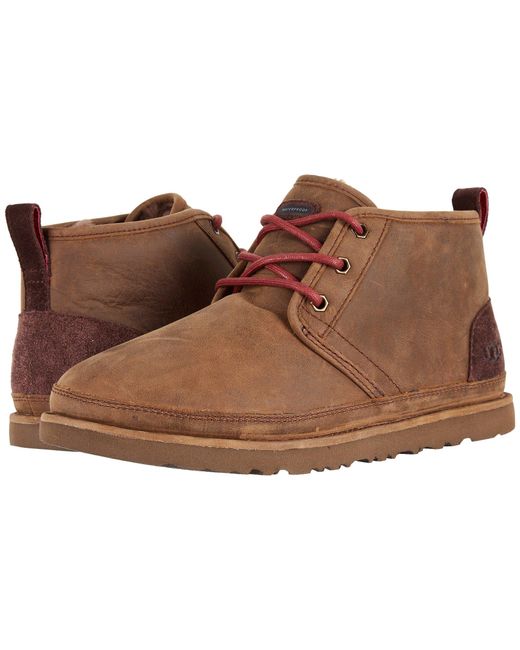 brown neumel uggs