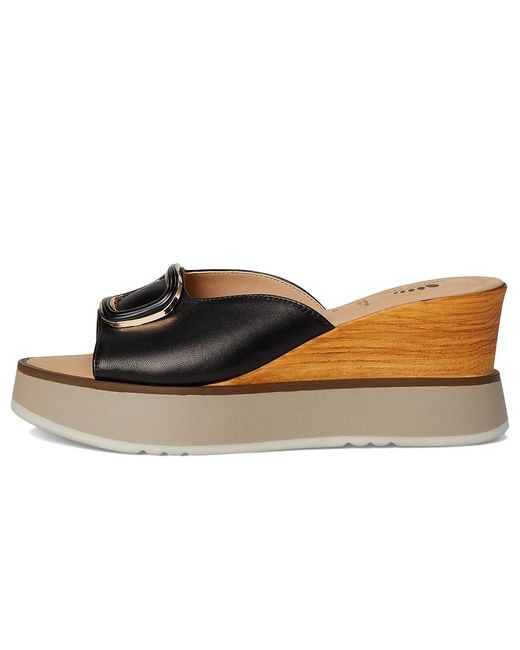 Spring Step Black Newwell Sandals, Leather