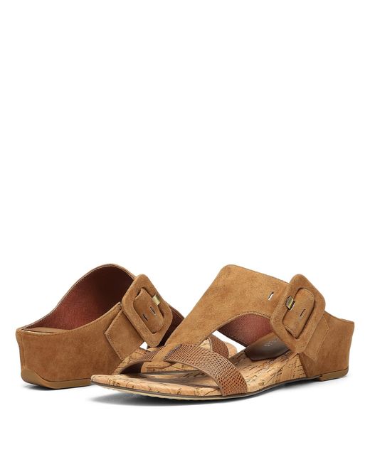 Donald J Pliner Ofelia in Brown | Lyst
