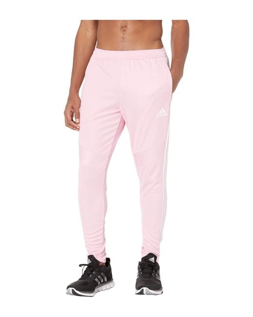 Adidas Pink Tiro '19 Pants (dark Blue/white) Men's Workout for men
