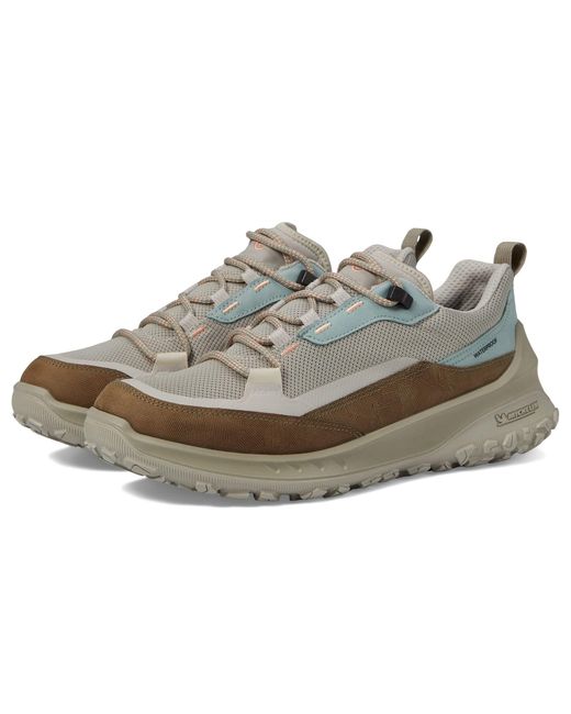 elettra low hiking shoe