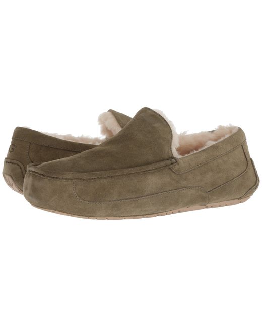 ugg ascot 42 ugg ascot 42
