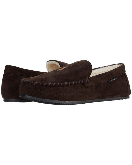 polo dezi