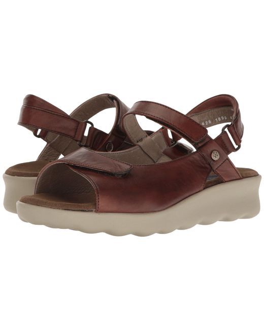 Wolky Pichu Beige Circles 1890-12-390 (Women's)