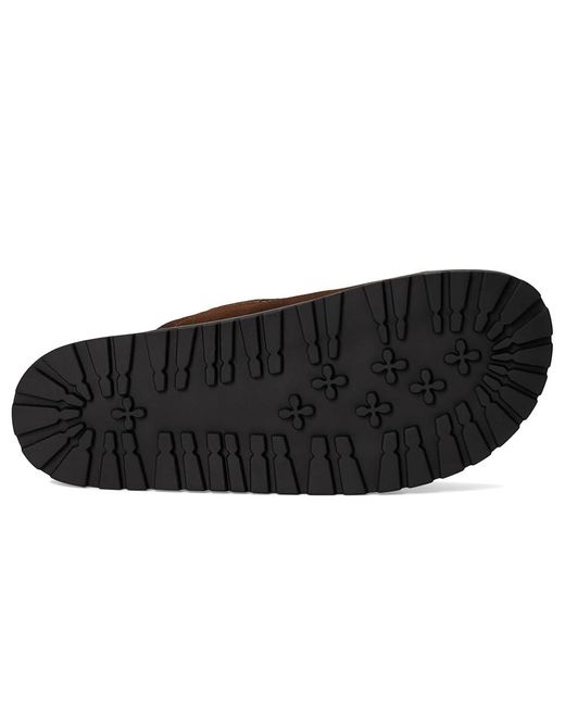 Steve Madden Brown Atticus Shoes