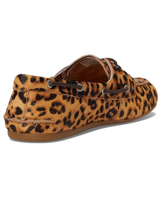 Sperry Top-Sider Brown Slimboat Shoes Primary