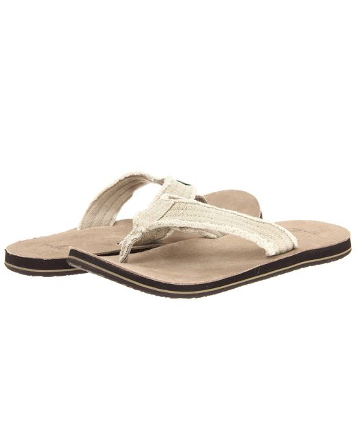 sanuk canvas