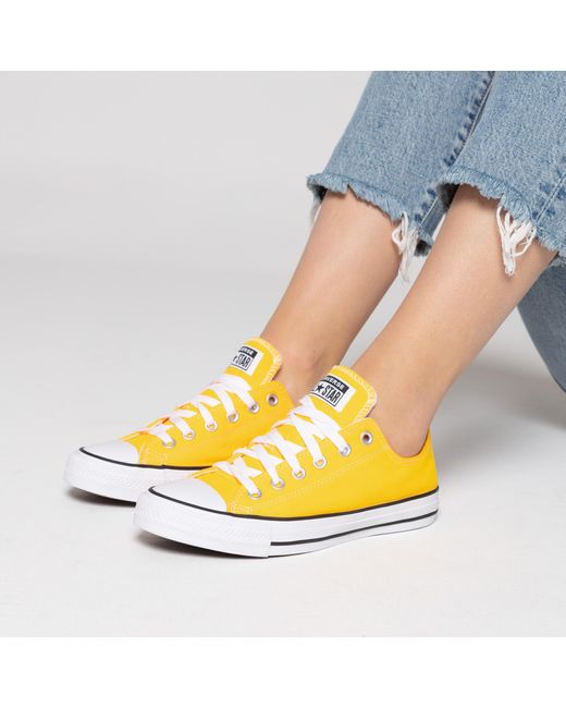 uzunluk Gıdıklama katılımcı all stars ziengs -  lafincadelcastilloarabegranada.com