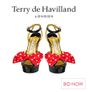 Terry De Havilland