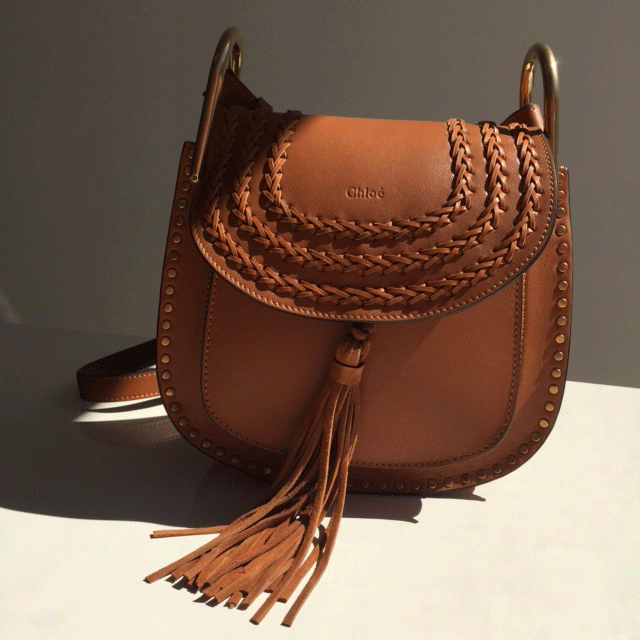 Chlo Small Hudson Shoulder Bag in Brown | Lyst  