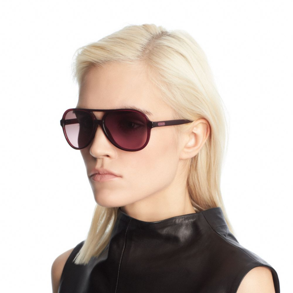 coach daisy sunglasses