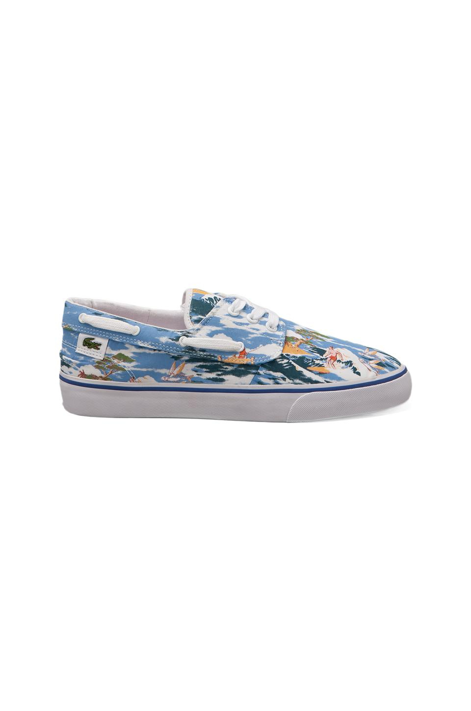 vans lacoste vans lacoste