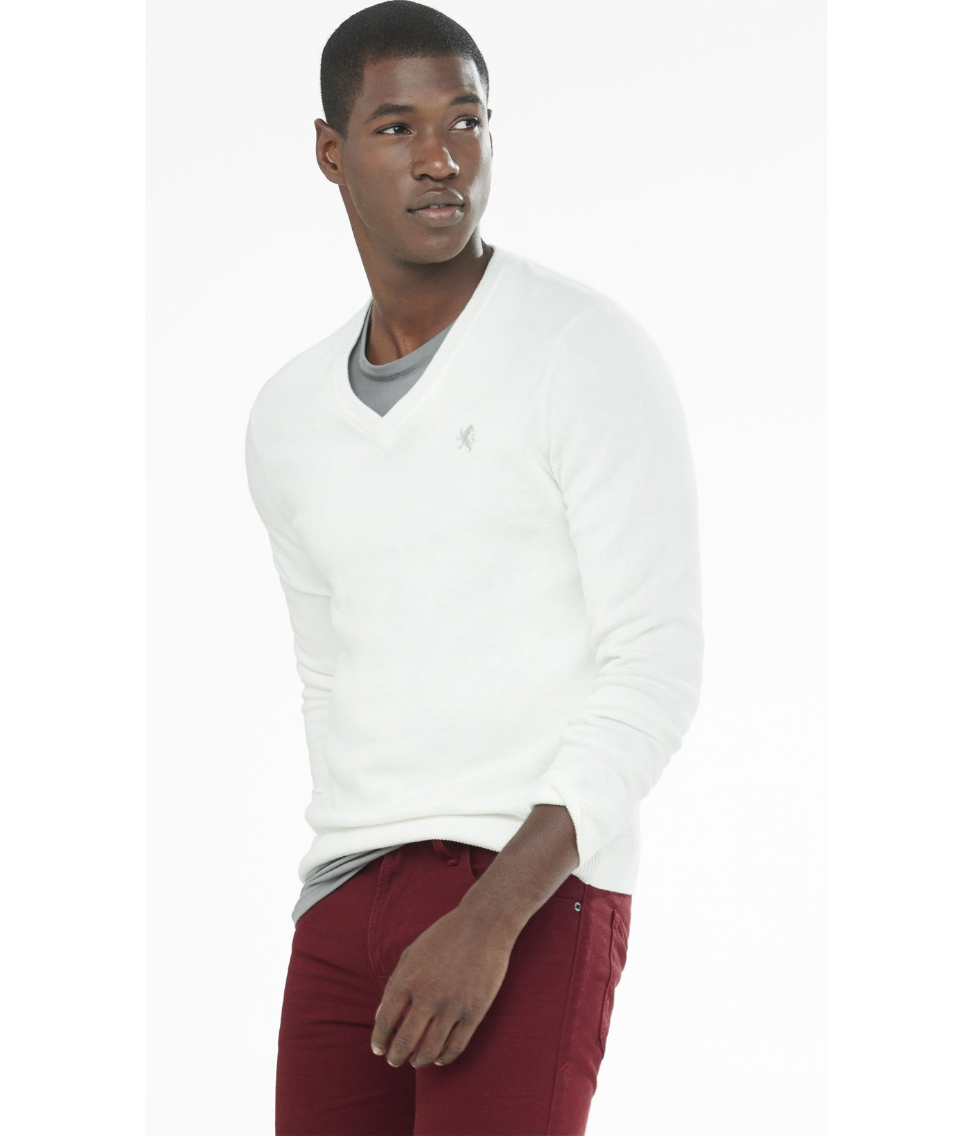 Cotton V,neck Small Lion Sweater