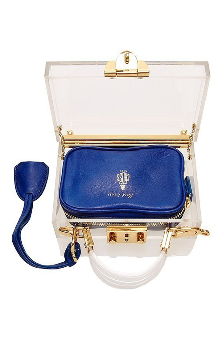 plexiglass purse