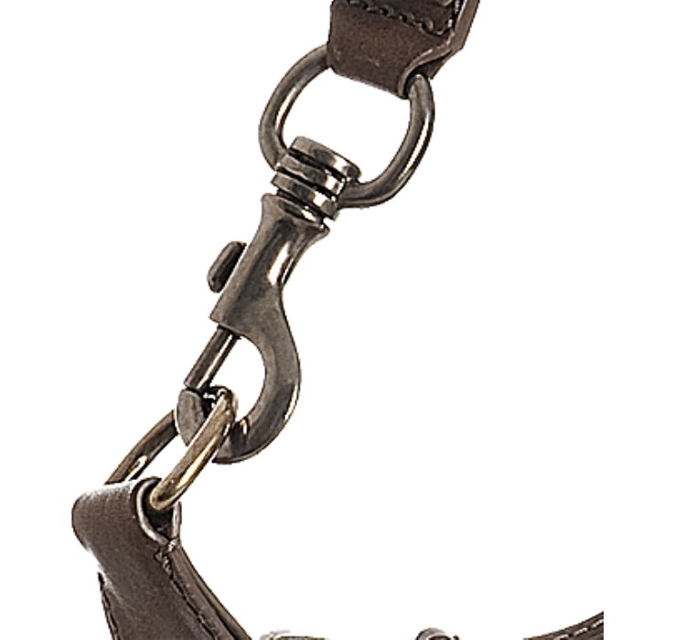 Cline Chocolate Leather Small Shoulder Bag in Brown (chocolate ...  