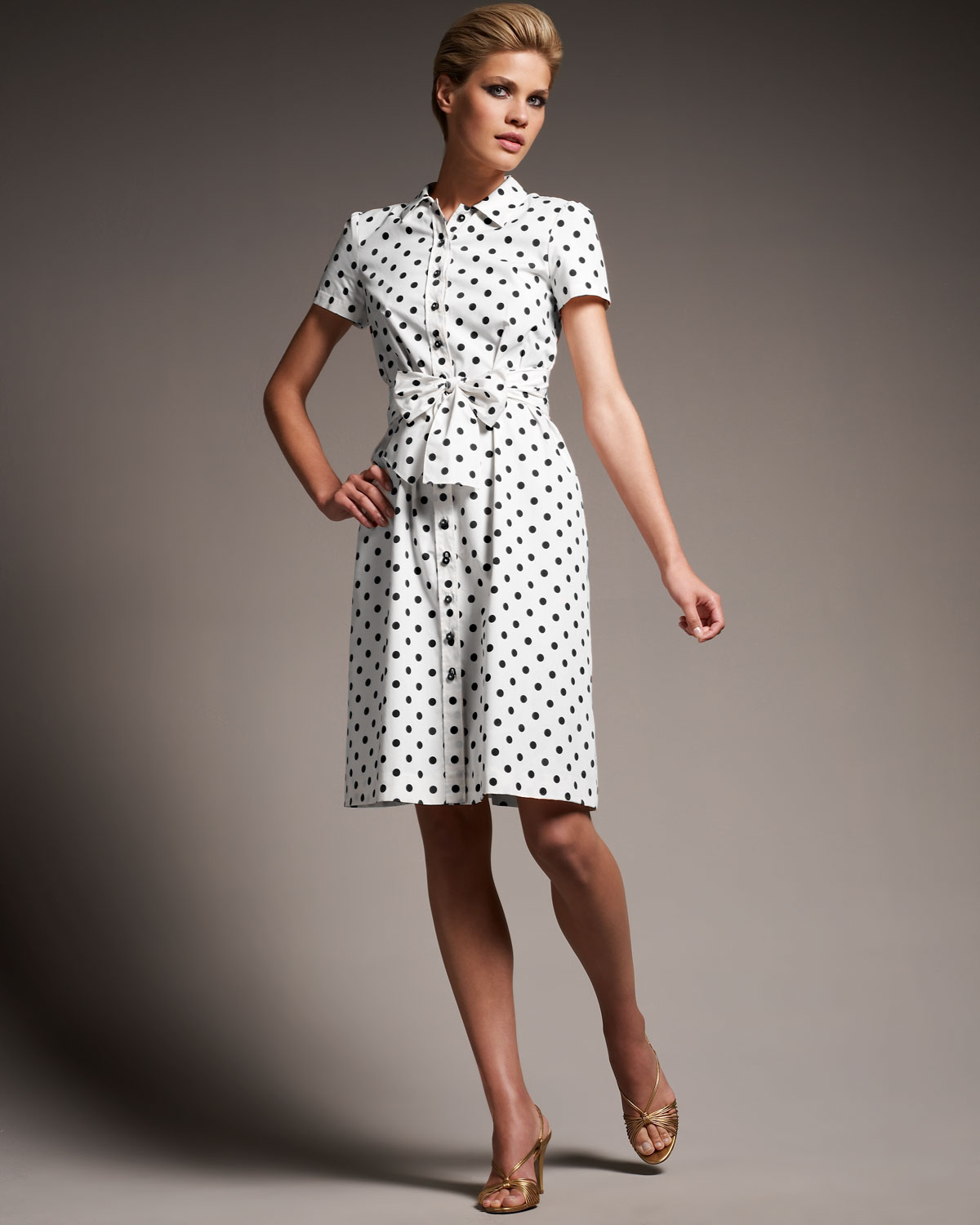Lyst Carolina Herrera Polka Dot Poplin Shirtdress In White Gallery