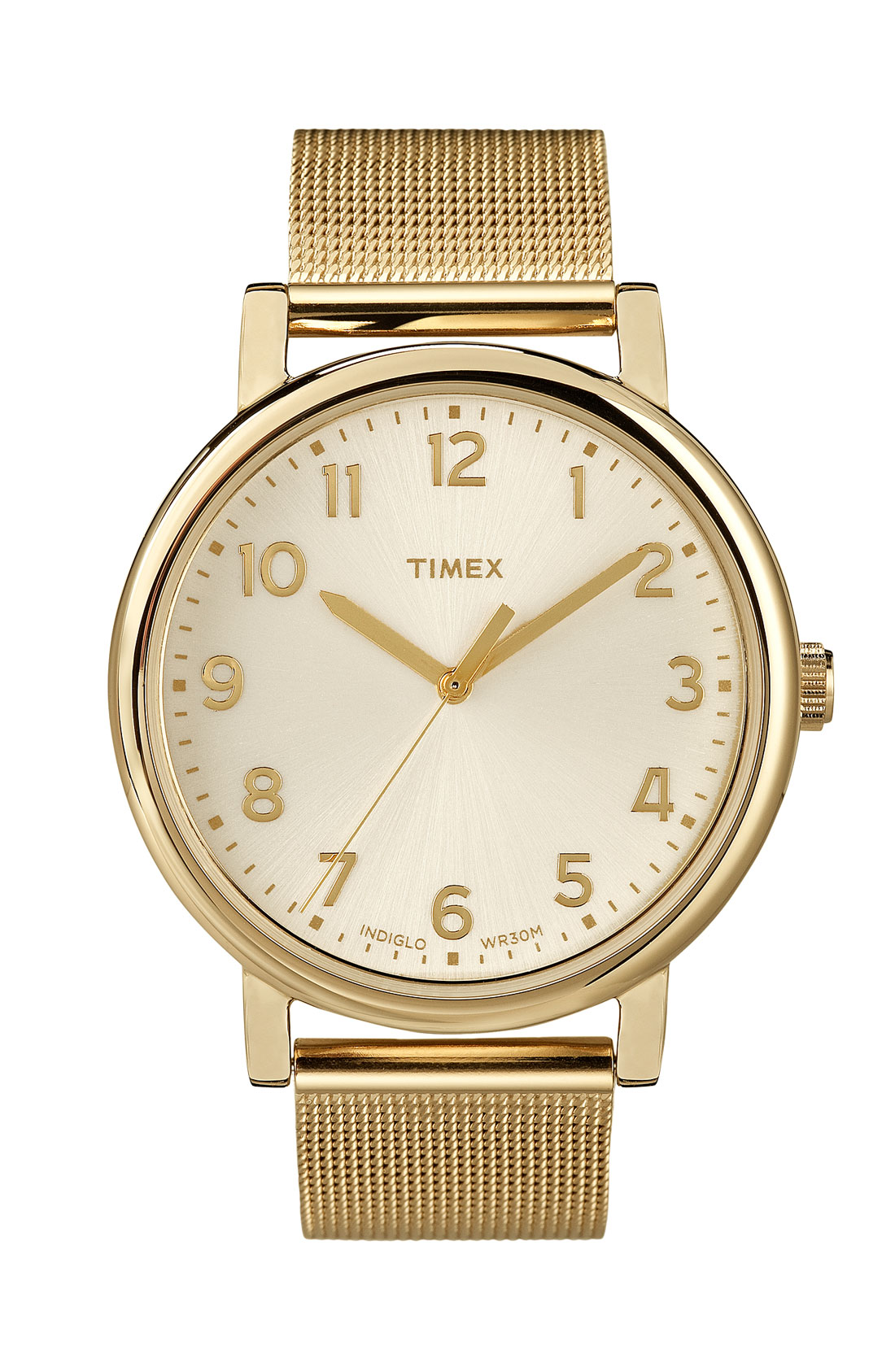 timex mesh watch