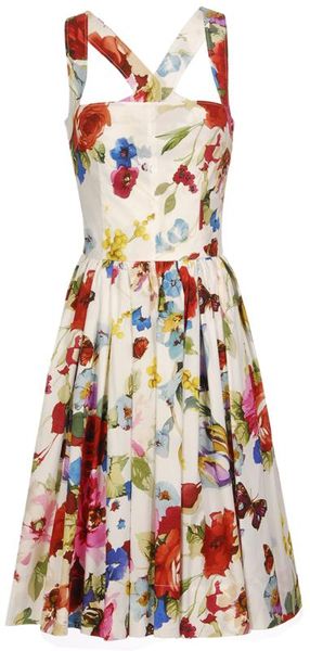 Dolce & Gabbana Butterfly-print Cotton Dress in Floral (white) | Lyst