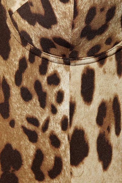 Dolce & Gabbana Leopard-Print Swimsuit in Animal (leopard) | Lyst