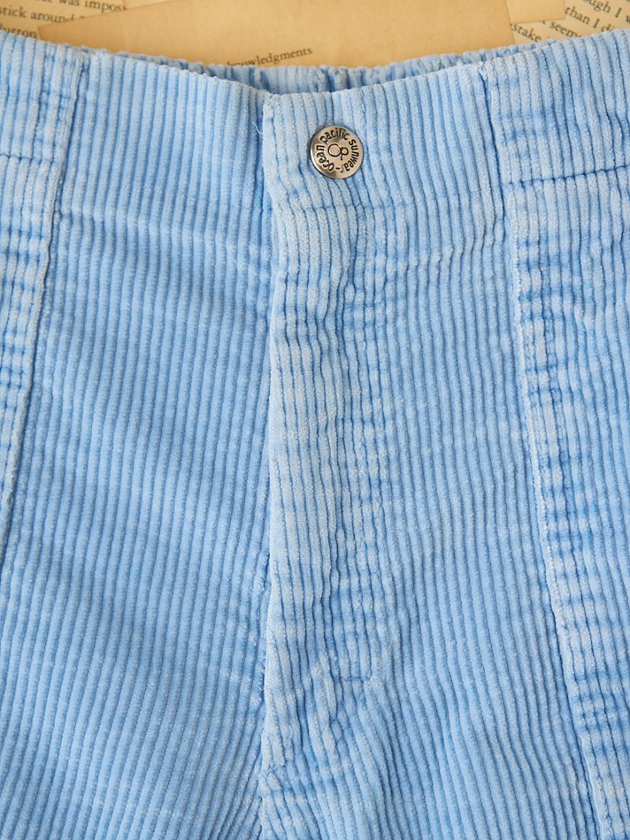 Free People Vintage Op Corduroy Shorts 
