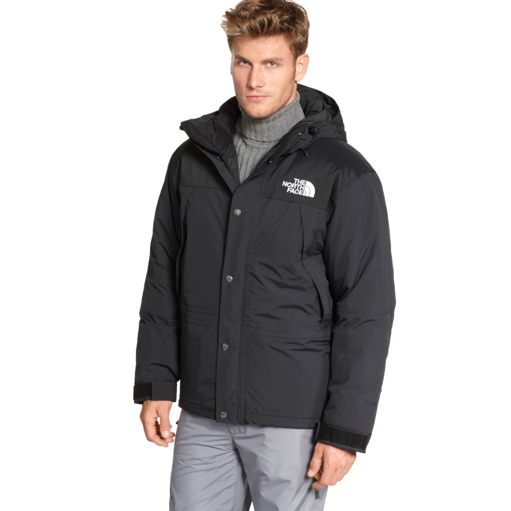 the north face alpine down jacket