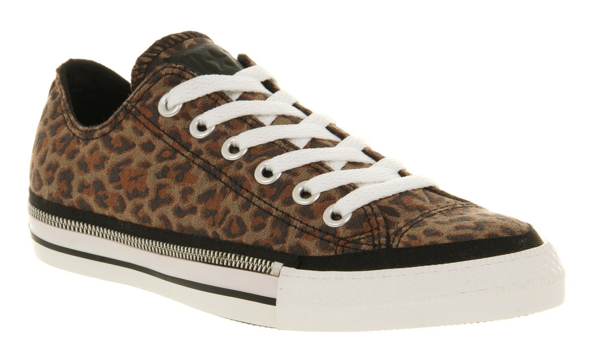 converse all star low leopard