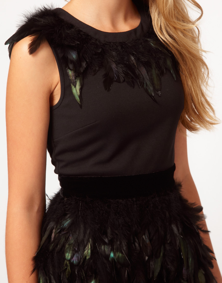 black dress feathers