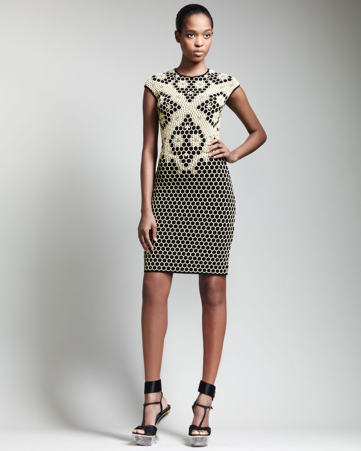 Alexander McQueen Yellow Dresses