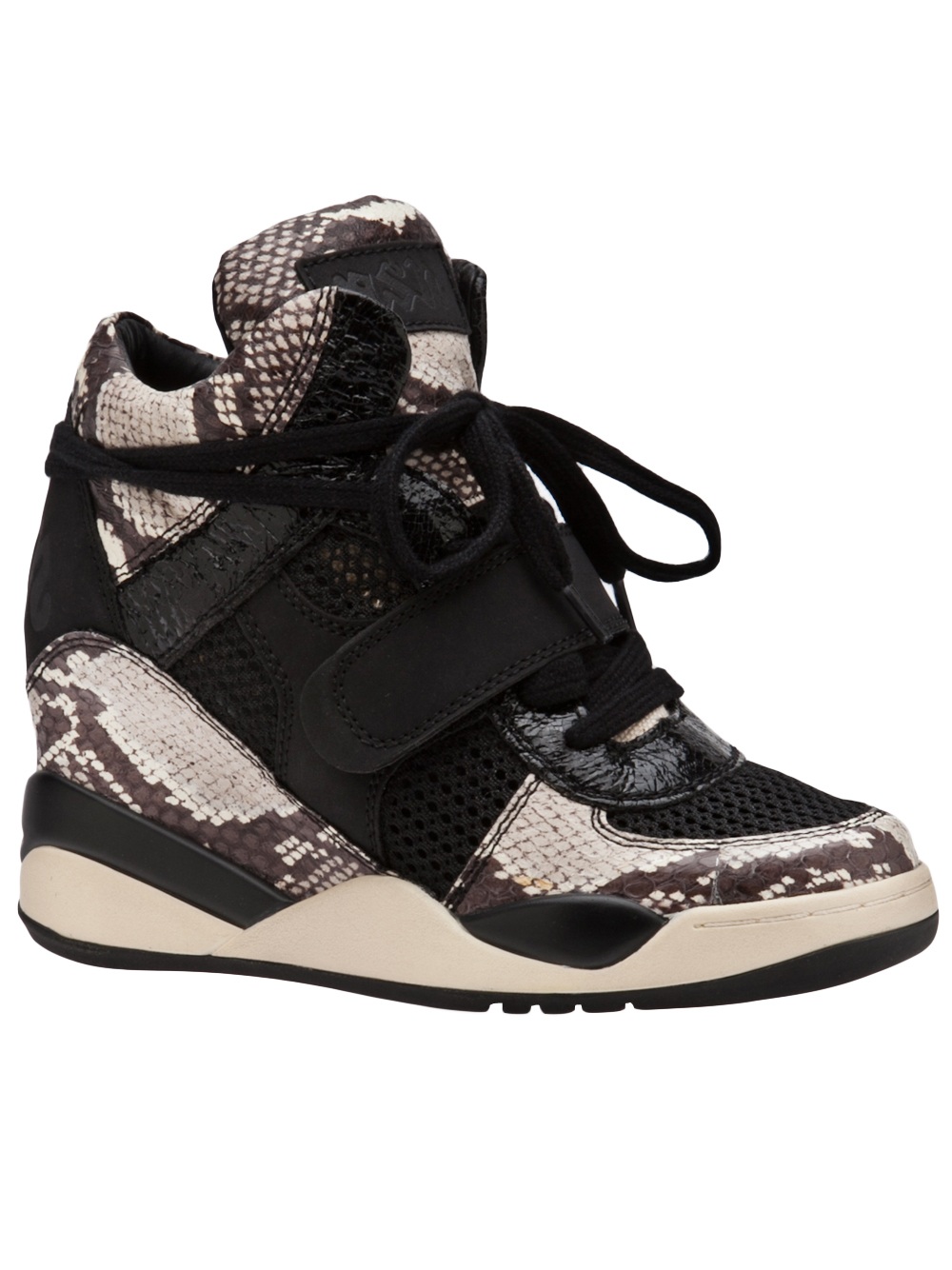 ash ninja sneaker