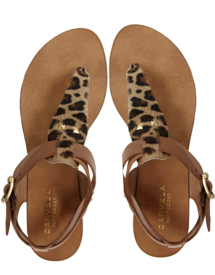 Carvela Kurt Geiger Kenya Leather Leopard Flat Sandals in Brown - Lyst