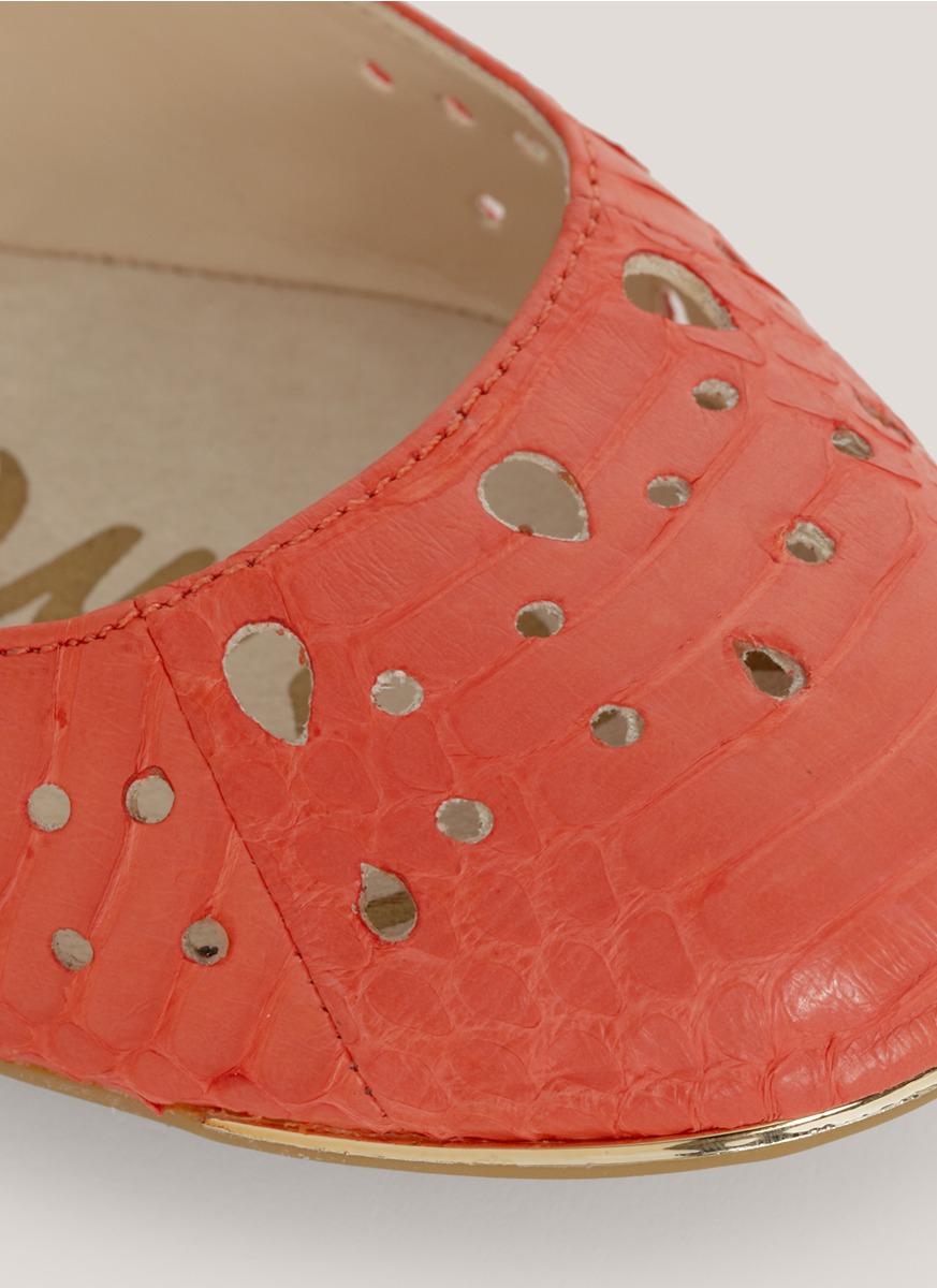 sam edelman ballerina