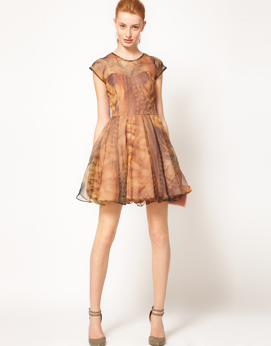 Lyst Ted Baker Woodland Feather Prom Dress in Brown
