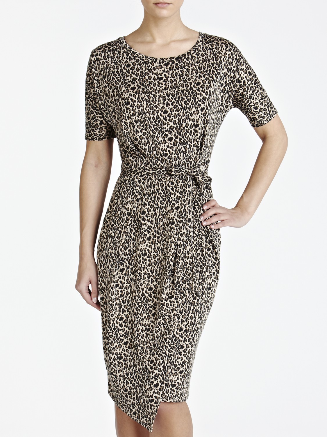 max mara leopard dress