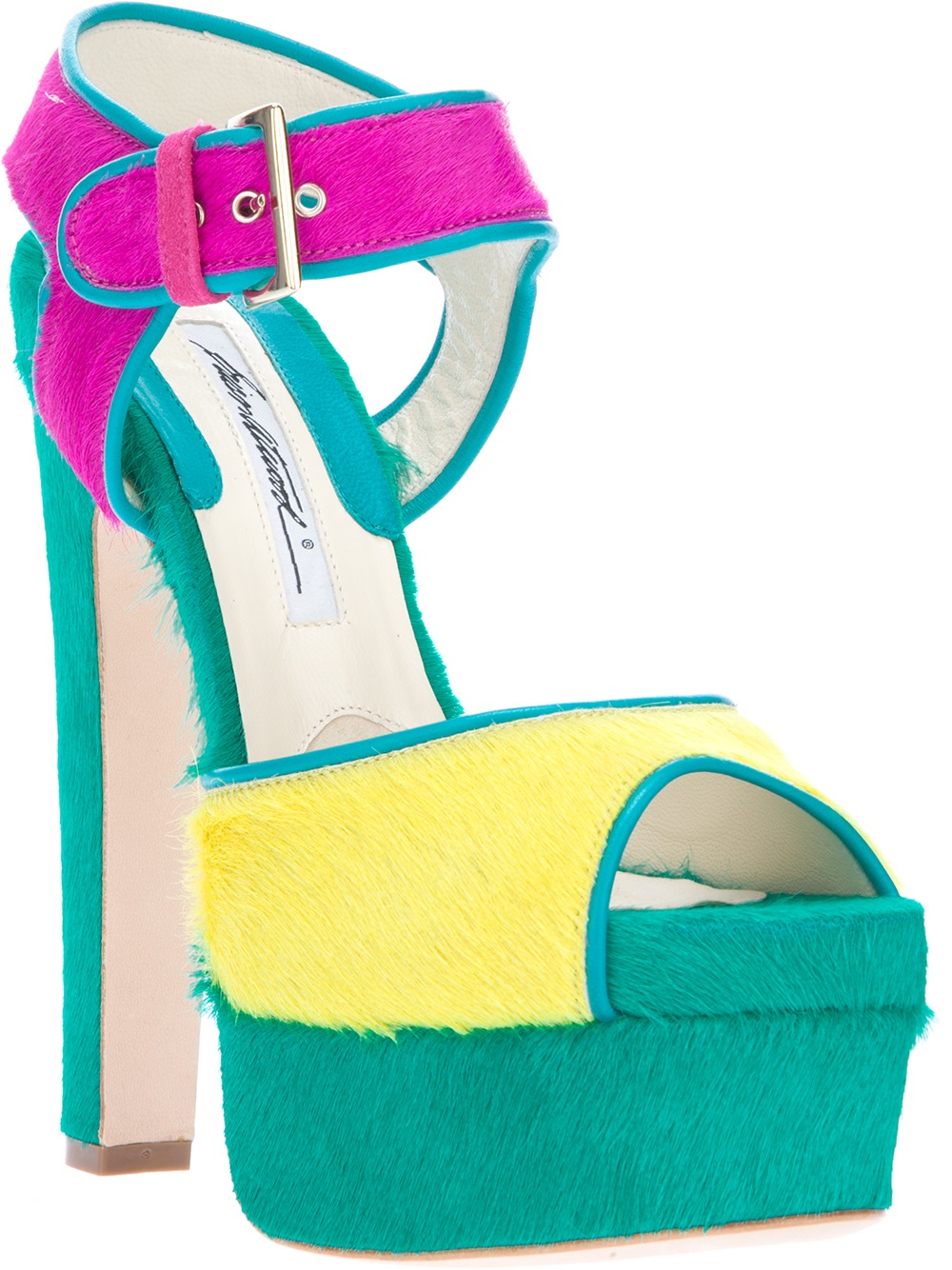 brian atwood karin