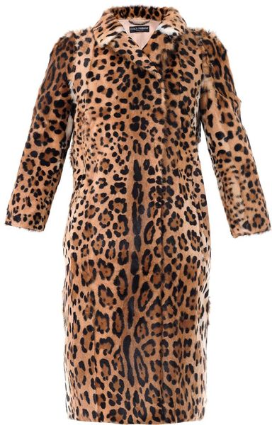 Dolce & Gabbana Leopardprint Pony Skin Coat in Animal (leopard) | Lyst