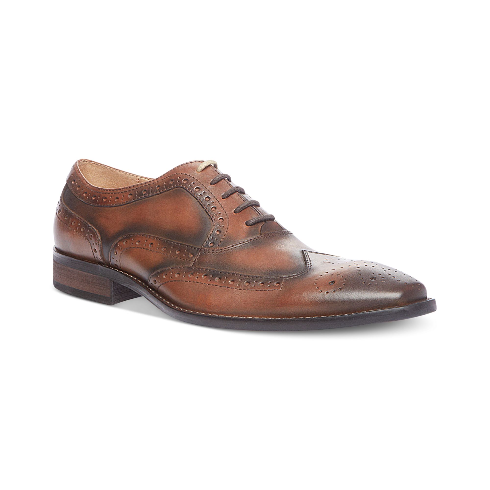 Steve Madden Persistt Wingtip Lace Oxfords in Dark Tan (Brown) for Men ...