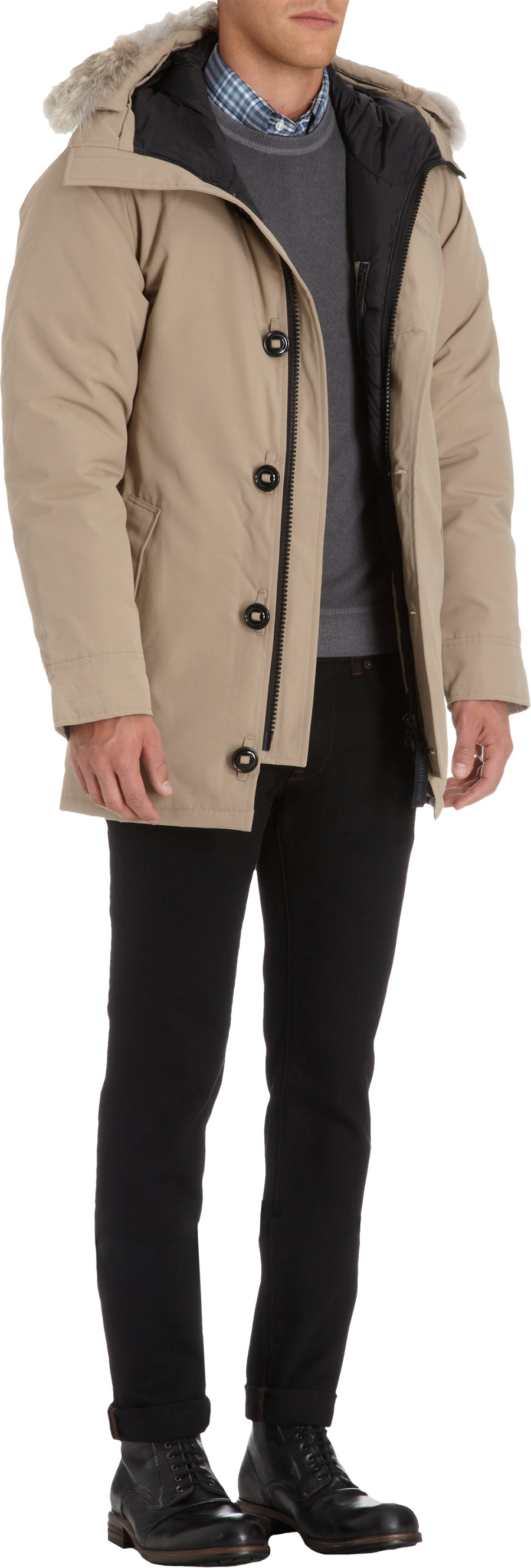 Canada Goose Branta Chateau Canada Goose Branta Chateau