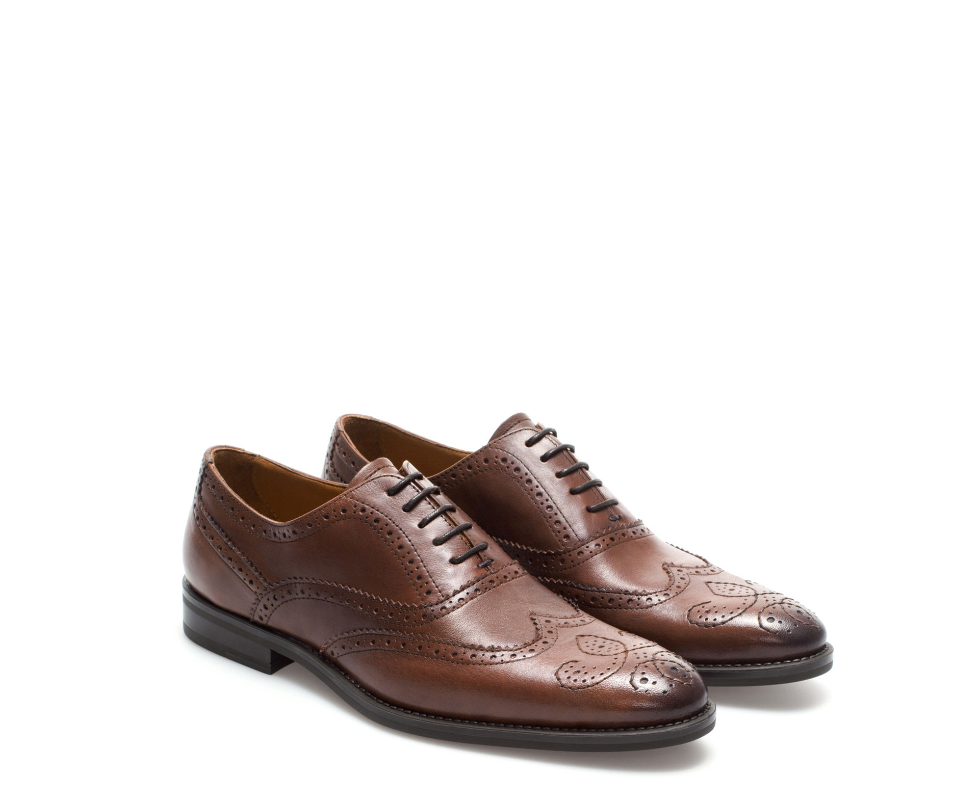 pointed oxford shoes pointed oxford shoes 28 images zara pointed oxford pointed oxford shoes pointed oxford shoes 28 images zara pointed oxford