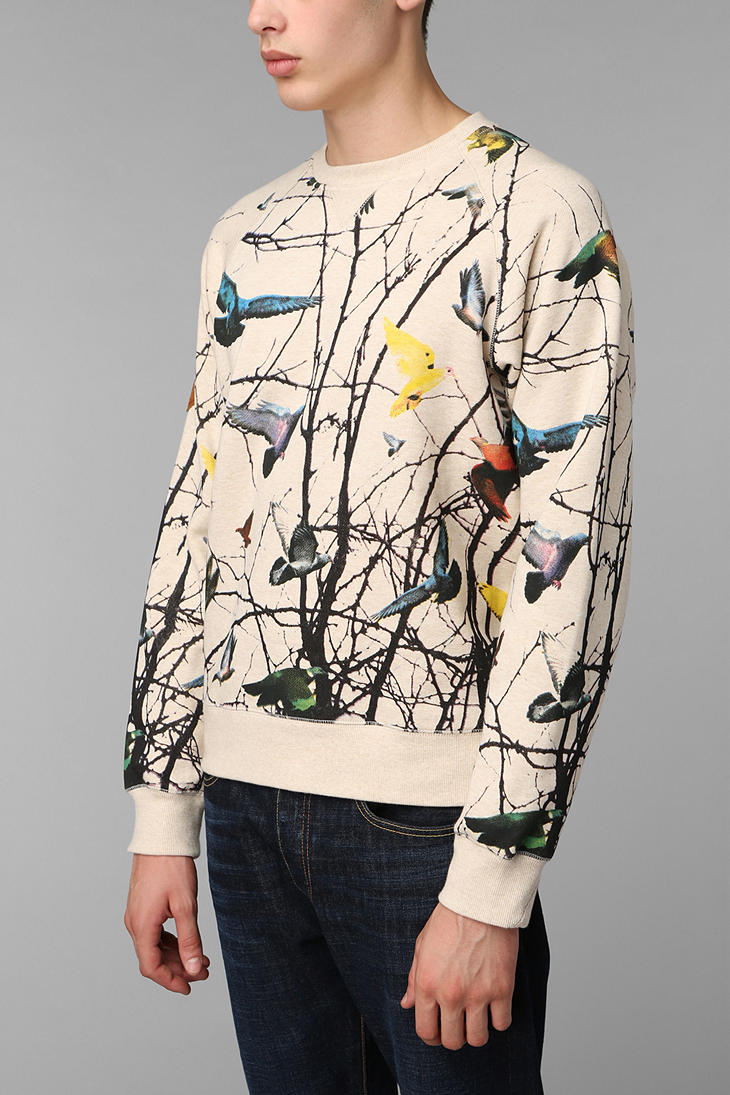 nike hoodies at edgars