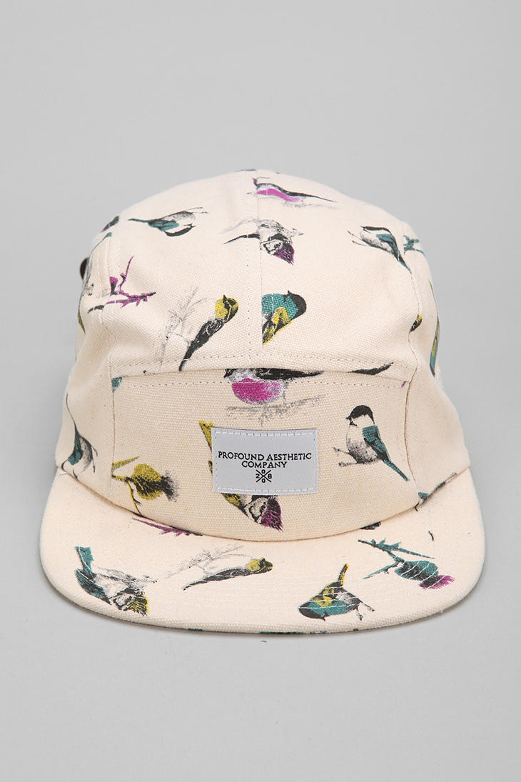 Profound Aesthetic Birds 5panel Hat 