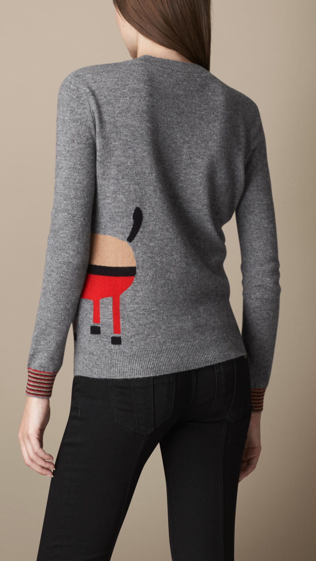 burberry print dog sweater