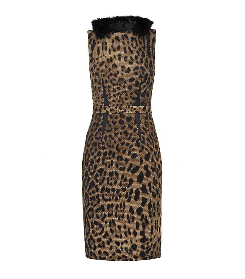 Class Roberto Cavalli Fur Collar Leopard Print Dress in Animal (leopard ...