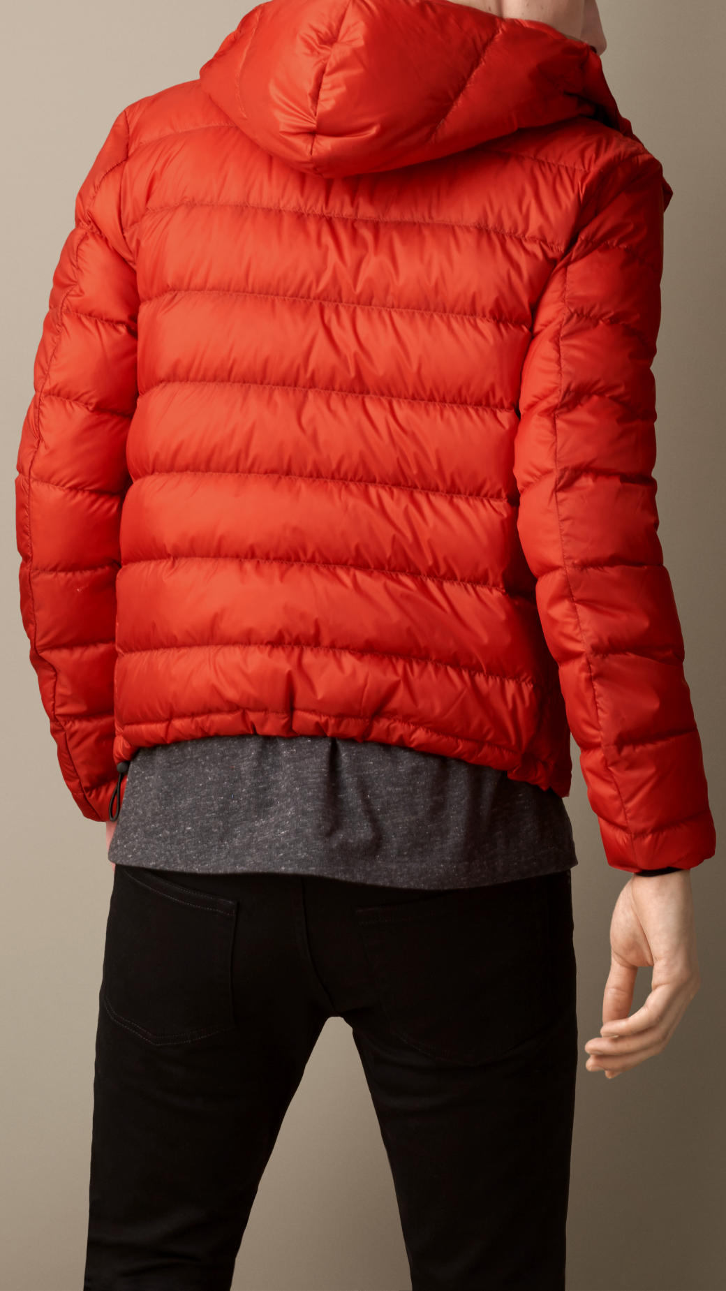 The north face puffer jacket with hood