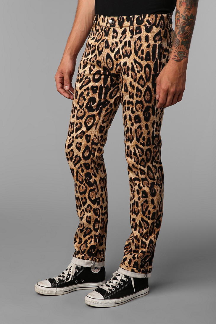 zebra print pant