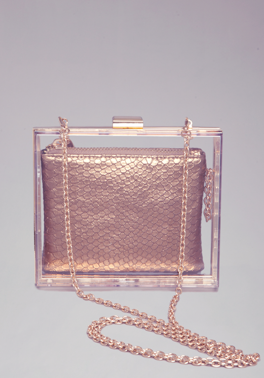 lucite clutch bag