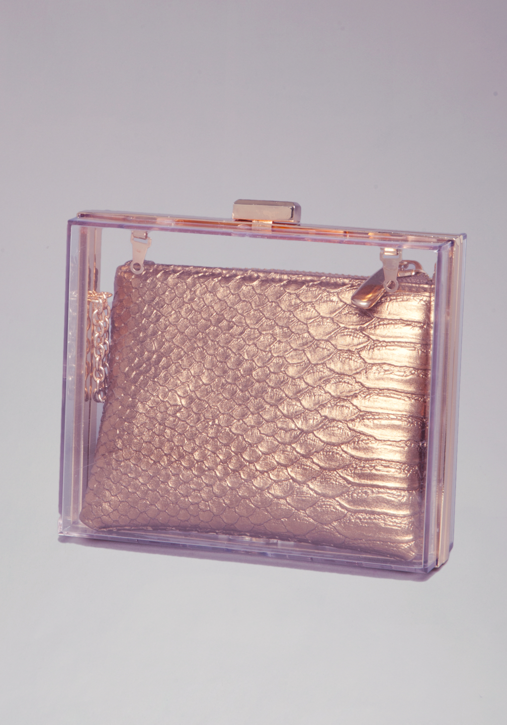 lucite clutch bag